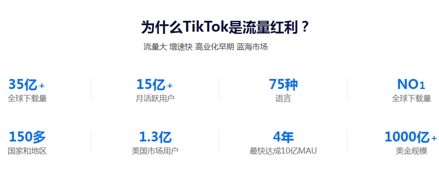 谷歌广告Tiktok推广  第3张