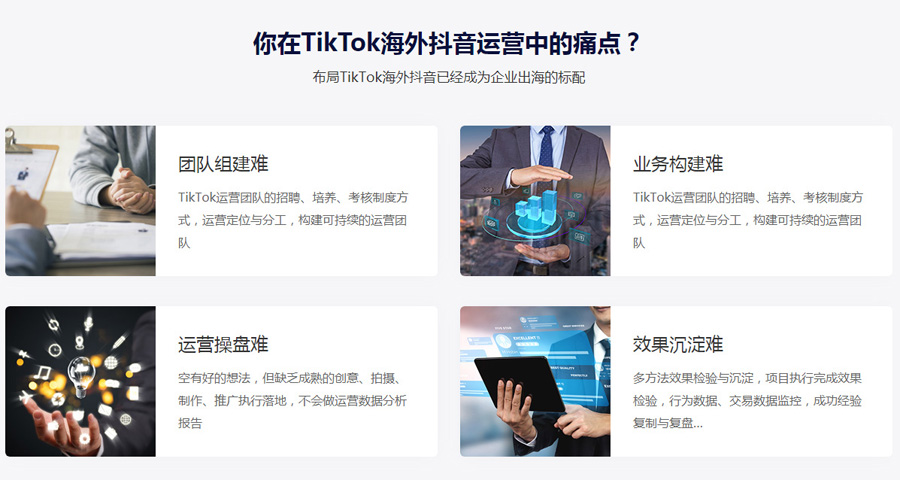 谷歌广告Tiktok推广  第4张